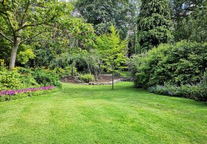 Optimiser l'expérience du jardin à Villaroger